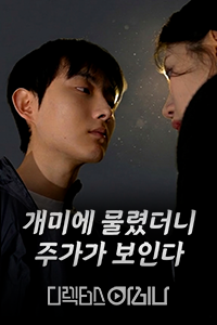 개미에 물렸더니 주가가 보인다